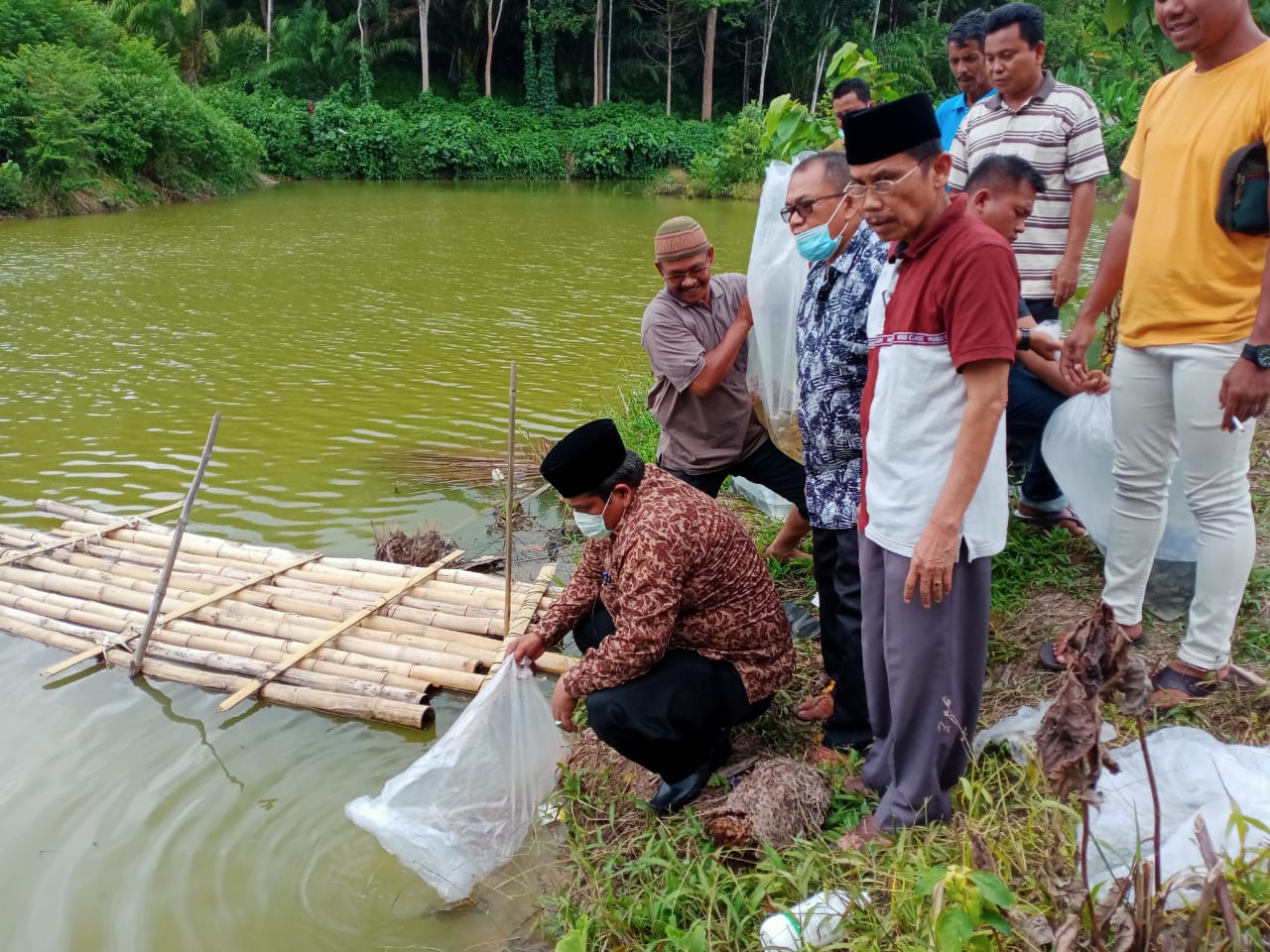 Penyerahan Bibit Ikan di Embung Nagari Toboh Ketek, Kecamatan Enam Lingkung